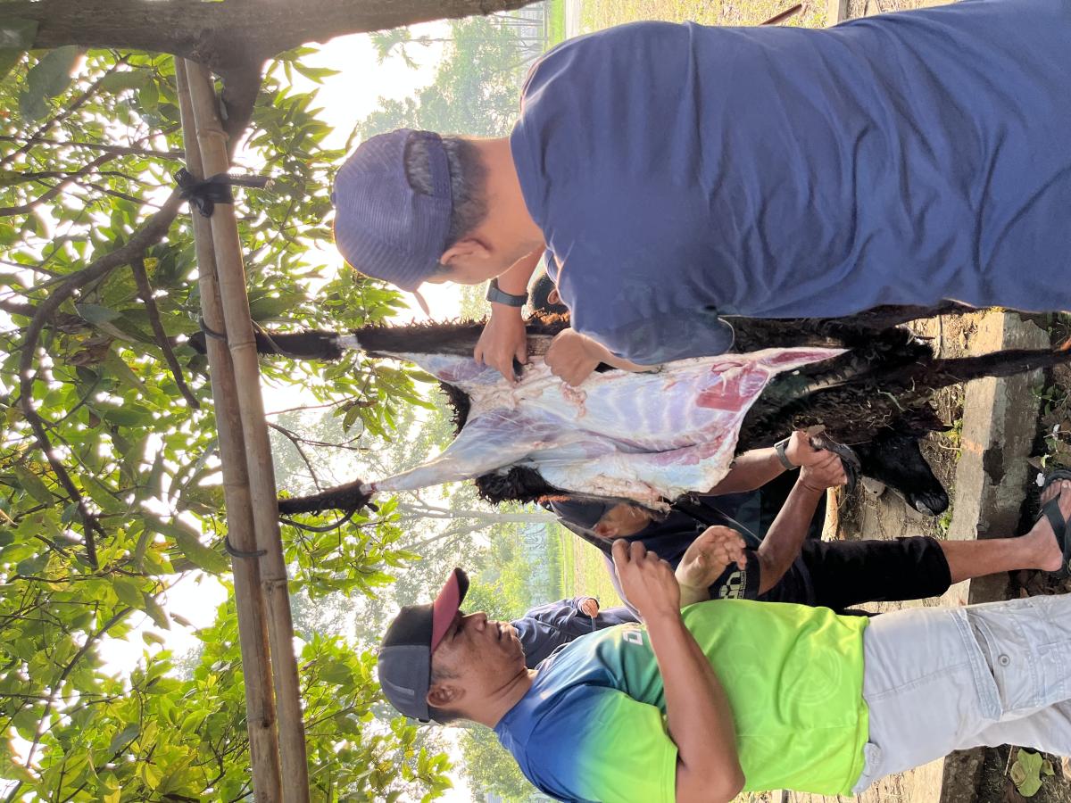Pendidikan Qurban di SD Darul Hikam 2: Menanamkan Nilai Keikhlasan dan Kepedulian Sejak Dini   